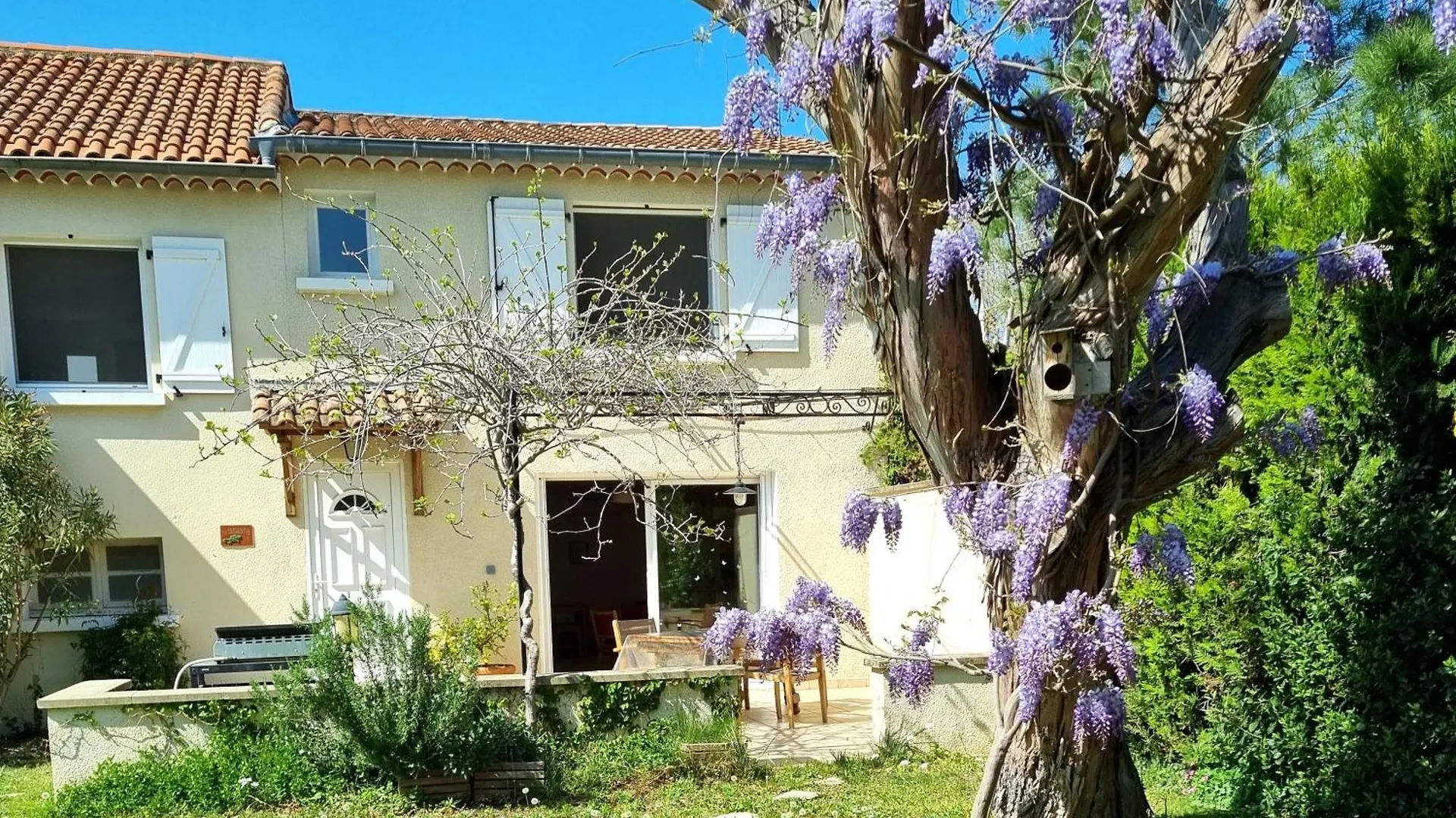 Vakantiehuis Studio Cosy En Provence Carpentras Frankrijk